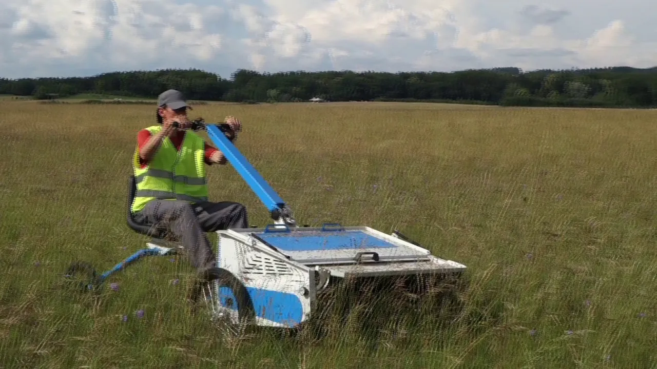 E-carabes S(p)eed Récolte dans une prairie riche en espèces - 