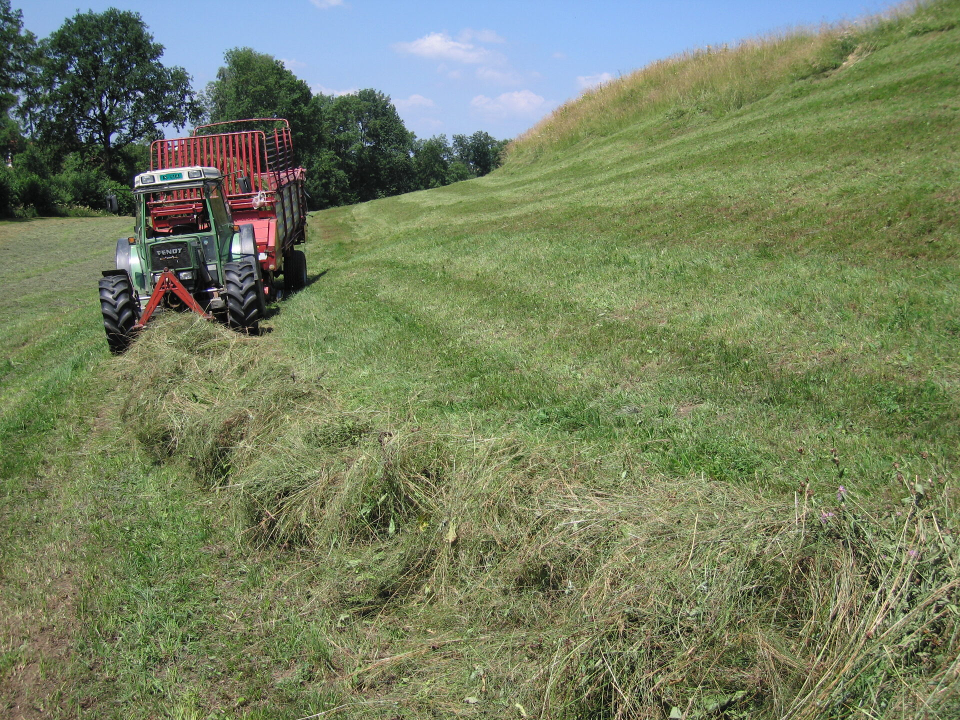 Progetto di ricerca NAP - 