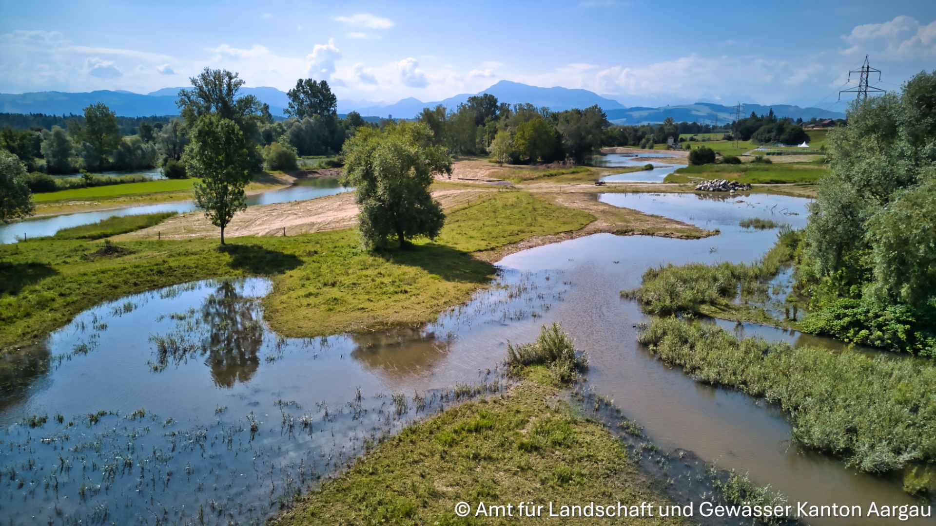 Rinaturalizzazione della pianura alluvionale di Reussegg (AG) - 