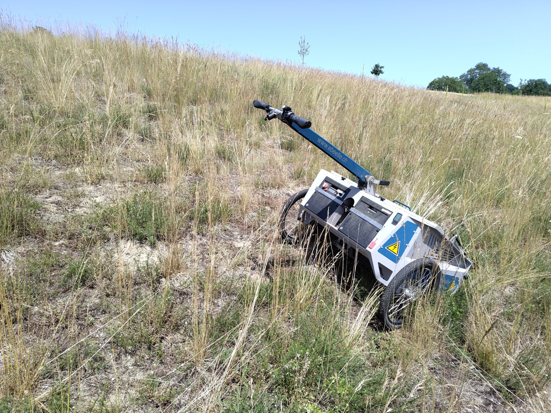 Ernte auf Trockenrasen