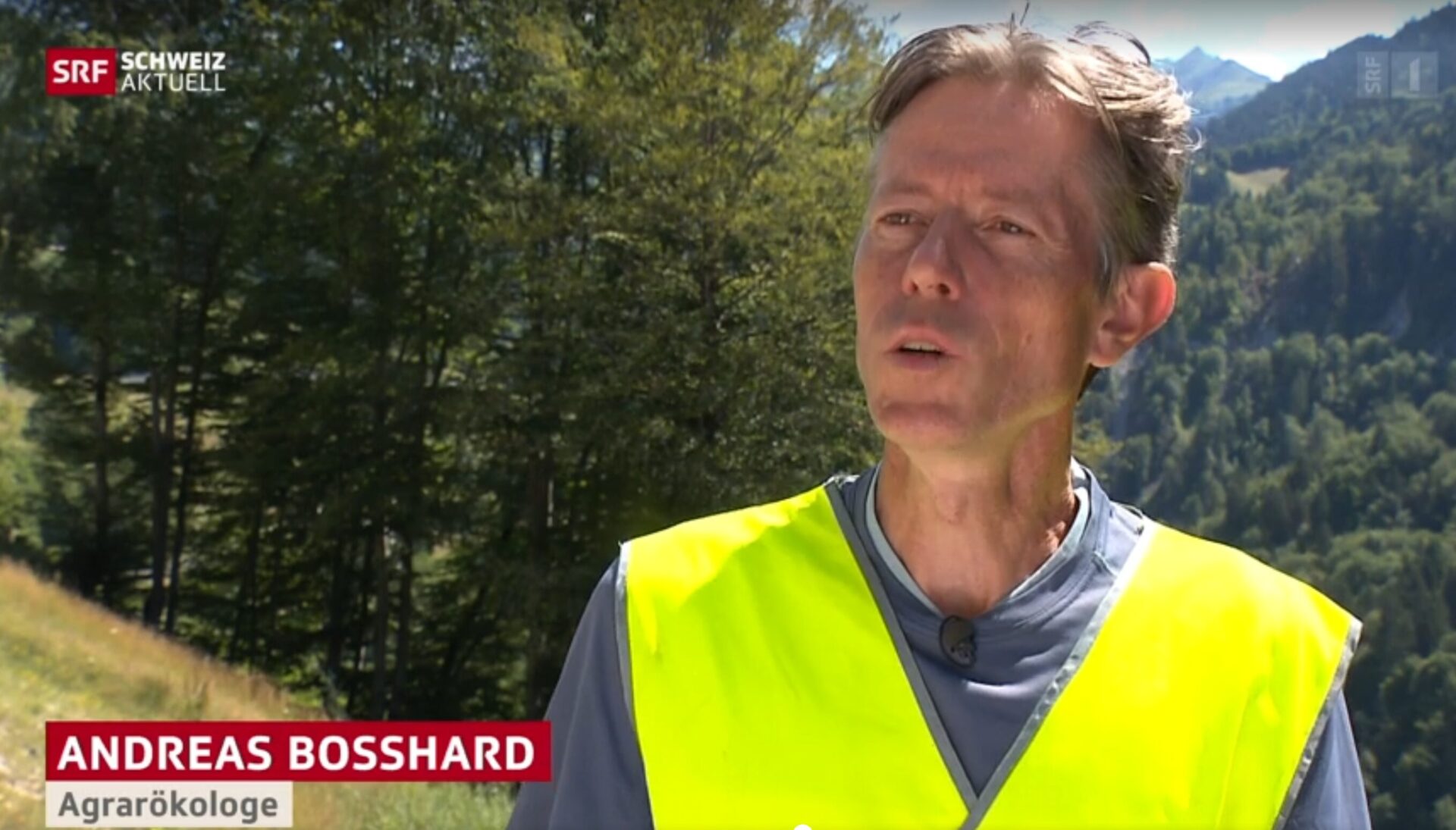 Erosionsschutz mit Holzwolle - 