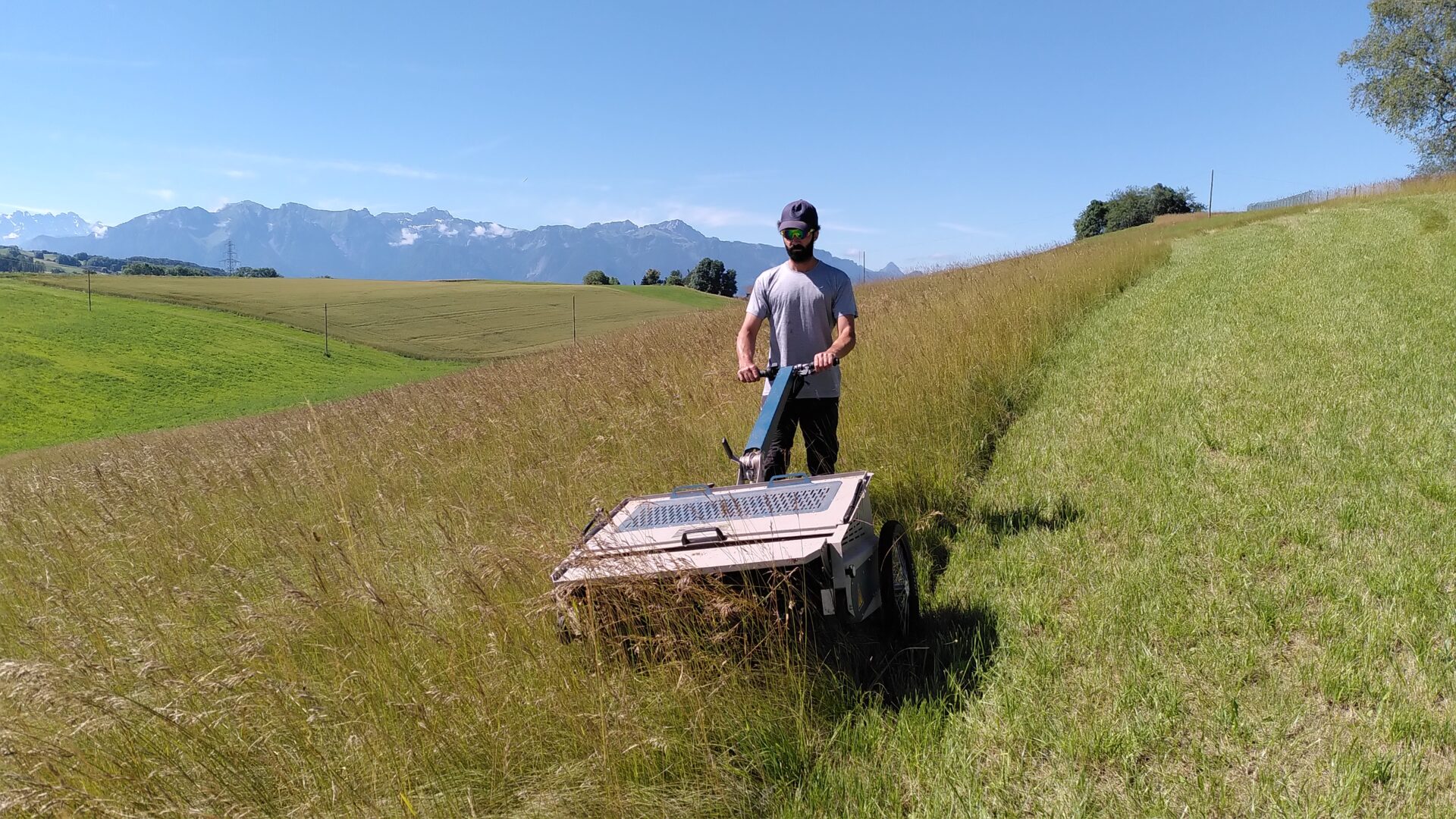 Direkternte eBeetle lokales Saatgut